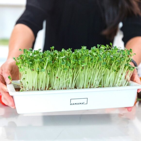 HAMAMA Ceramic Grow Tray - Picture 9 of 9